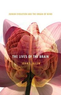 Cover image for The Lives of the Brain: Human Evolution and the Organ of Mind