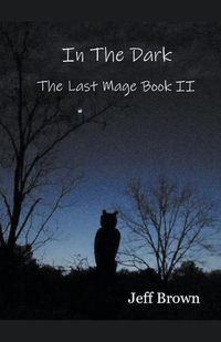 Cover image for In The Dark: The Last Mage Book II
