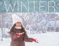 Cover image for Winter