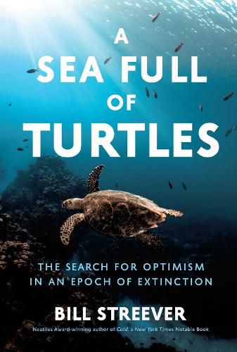 Cover image for A Sea Full of Turtles