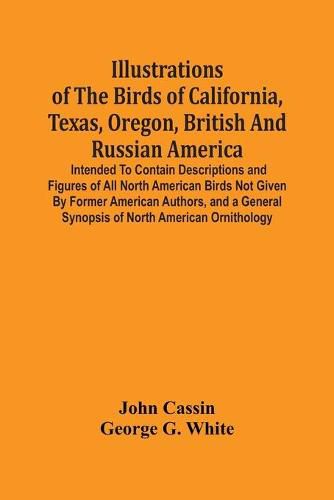 Illustrations Of The Birds Of California, Texas, Oregon, British And Russian America.: Intended To Contain Descriptions And Figures Of All North American Birds Not Given By Former American Authors, And A General Synopsis Of North American Ornithology