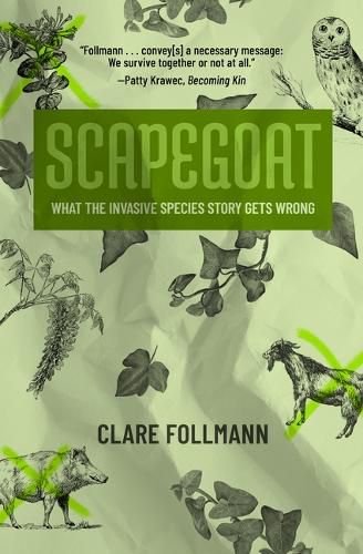 Cover image for Scapegoat