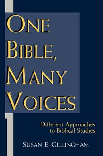 Cover image for One Bible, Many Voices: Different Approaches to Biblical Studies