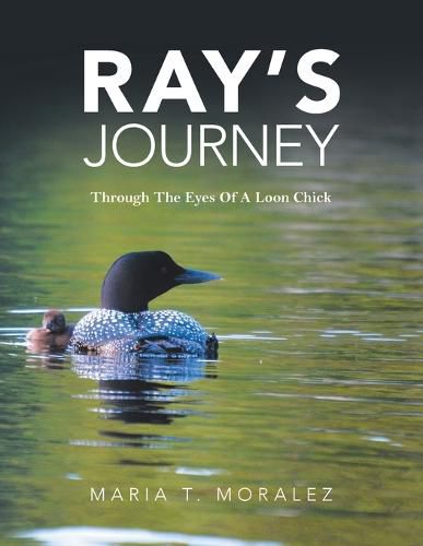 Cover image for Ray's Journey: Through the Eyes of a Loon Chick