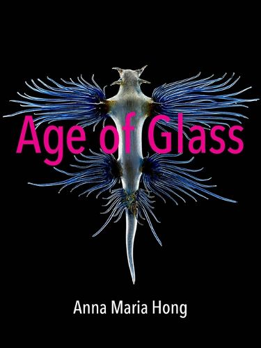 Cover image for Age of Glass