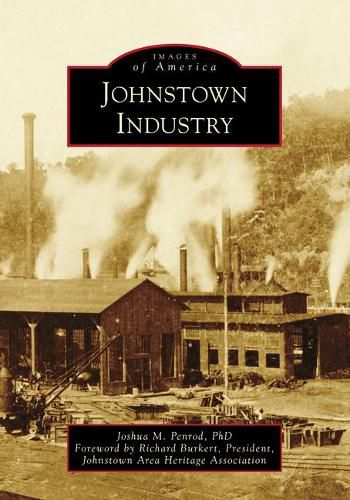 Cover image for Johnstown Industry