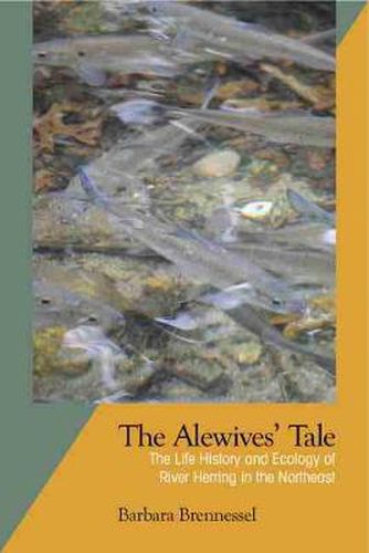 Cover image for The Alewives Tale: The Life History and Ecology of River Herring in the Northeast