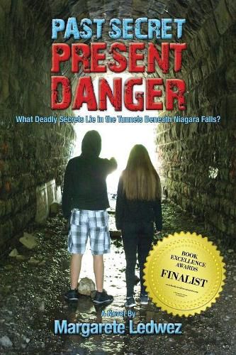 Cover image for Past Secret Present Danger