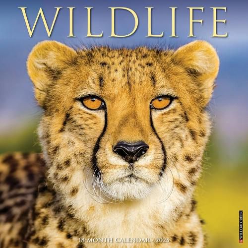 Cover image for Wildlife 2026 12 X 12 Wall Calendar