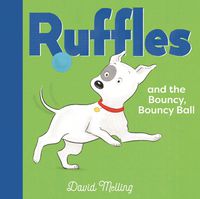 Cover image for Ruffles and the Bouncy, Bouncy Ball