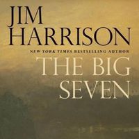 Cover image for The Big Seven: A Faux Mystery