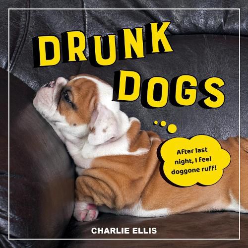 Cover image for Drunk Dogs: Hilarious Pics of Plastered Pups