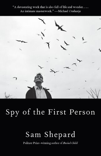 Cover image for Spy Of The First Person