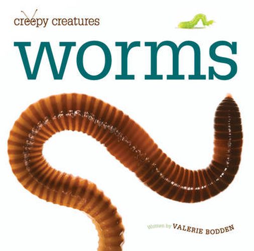 Cover image for Creepy Creatures: Worms