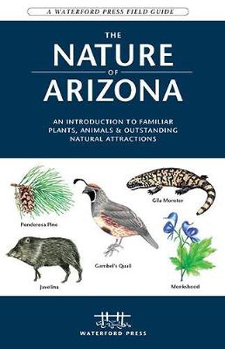 Cover image for The Nature of Arizona: An Introduction to Familiar Plants, Animals & Outstanding Natural Attractions