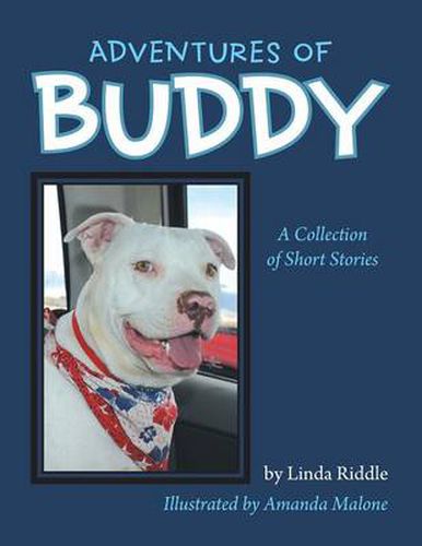 Cover image for Adventures of Buddy