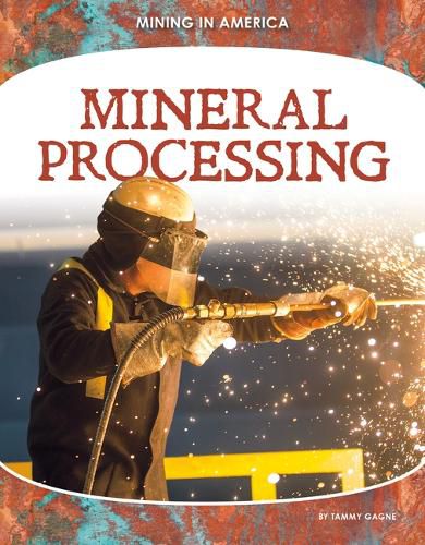 Cover image for Mineral Processing