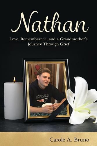 Cover image for Nathan