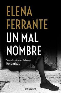 Cover image for Un mal nombre / The Story of a New Name