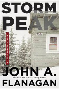 Cover image for Storm Peak