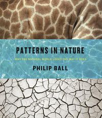 Cover image for Patterns in Nature: Why the Natural World Looks the Way it Does