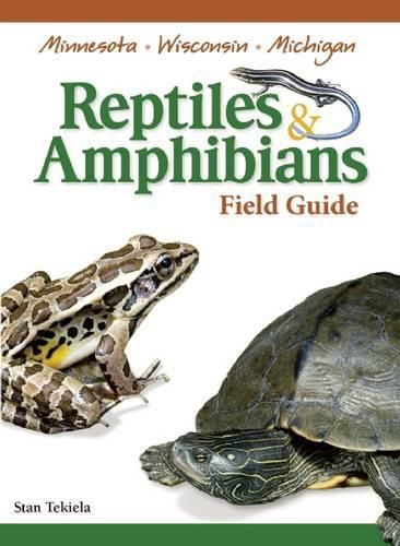 Cover image for Reptiles & Amphibians of Minnesota, Wisconsin and Michigan Field Guide