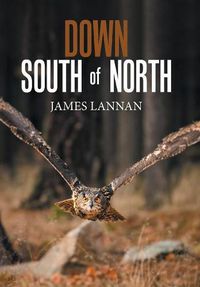 Cover image for Down South of North