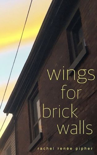 Cover image for wings for brick walls