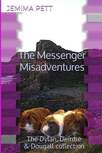 Cover image for The Messenger Misadventures