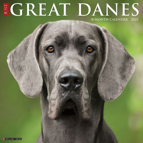 Cover image for Great Danes 2026 12 X 12 Wall Calendar