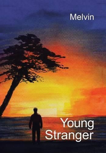 Cover image for Young Stranger