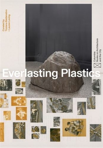 Cover image for Everlasting Plastics