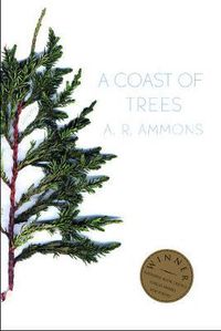 Cover image for A Coast of Trees