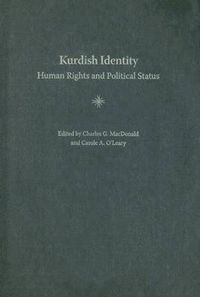 Cover image for Kurdish Identity: Human Rights and Political Status