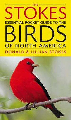 Cover image for The Stokes Essential Pocket Guide to the Birds of North America