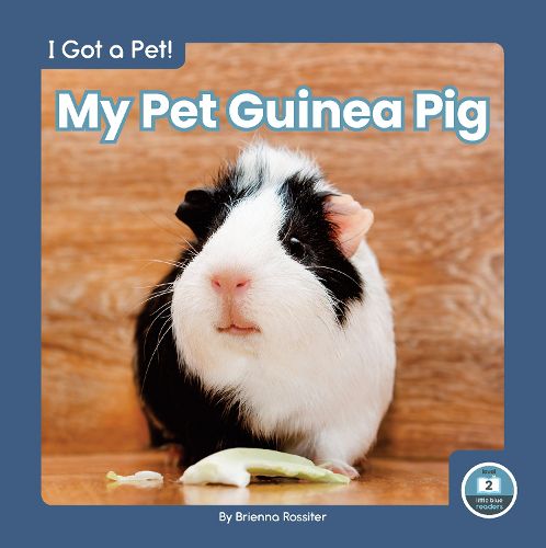 Cover image for I Got a Pet! My Pet Guinea Pig