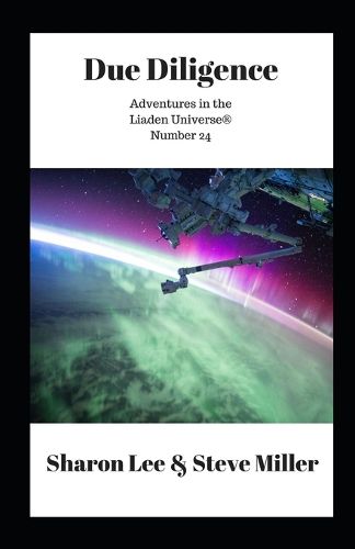 Cover image for Due Diligence