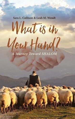 Cover image for What is in Your Hand?: A Journey Toward SHALOM