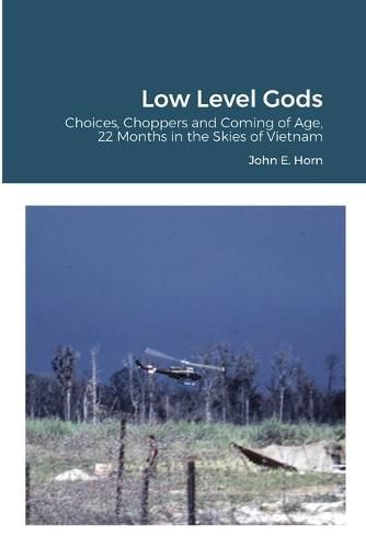 Cover image for Low Level Gods