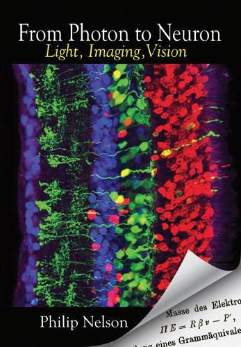 Cover image for From Photon to Neuron: Light, Imaging, Vision