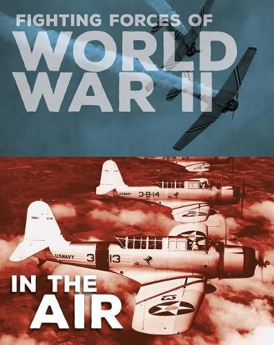 Cover image for Fighting Forces of World War II in the Air