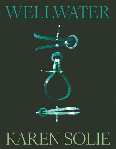 Cover image for Wellwater