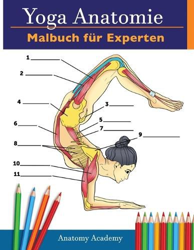 Cover image for Yoga-Anatomie-Malbuch fur Experten: 50+ Unglaublich Detailliertes Arbeitsbuch zum Selbsttest von Fortgeschrittenen Yoga-Posen in Farbe Das Perfekte Geschenk fur Yogalehrer, -Lehrner und -Begeisterte