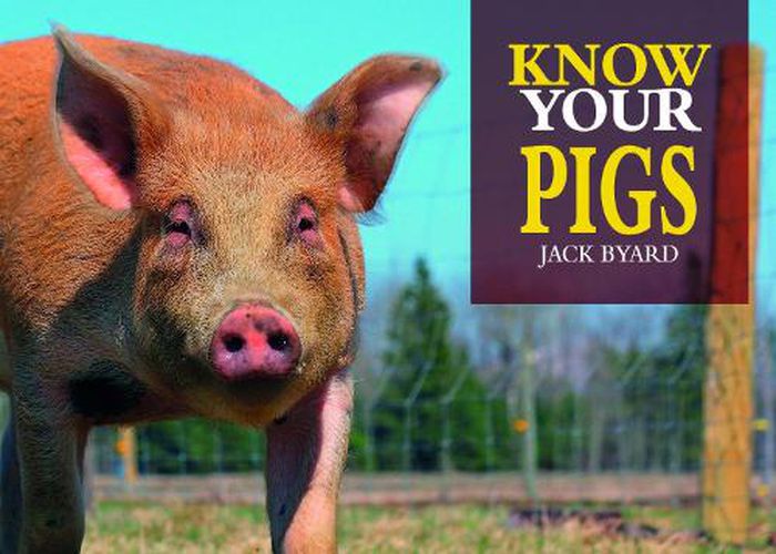 Cover image for Know Your Pigs