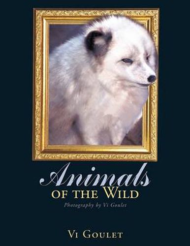 Cover image for Animals of the Wild