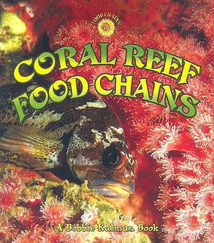 Cover image for Coral Reef Food Chains