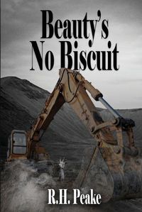 Cover image for Beauty's No Biscuit