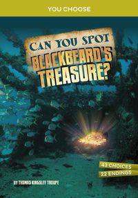 Cover image for Can You Spot Blackbeard's Treasure?