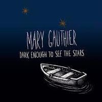 Cover image for Dark Enough to See the Stars
