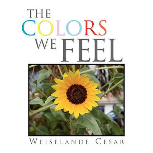 Cover image for The Colors We Feel